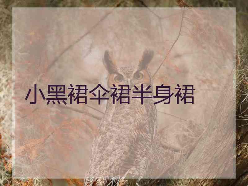 小黑裙伞裙半身裙