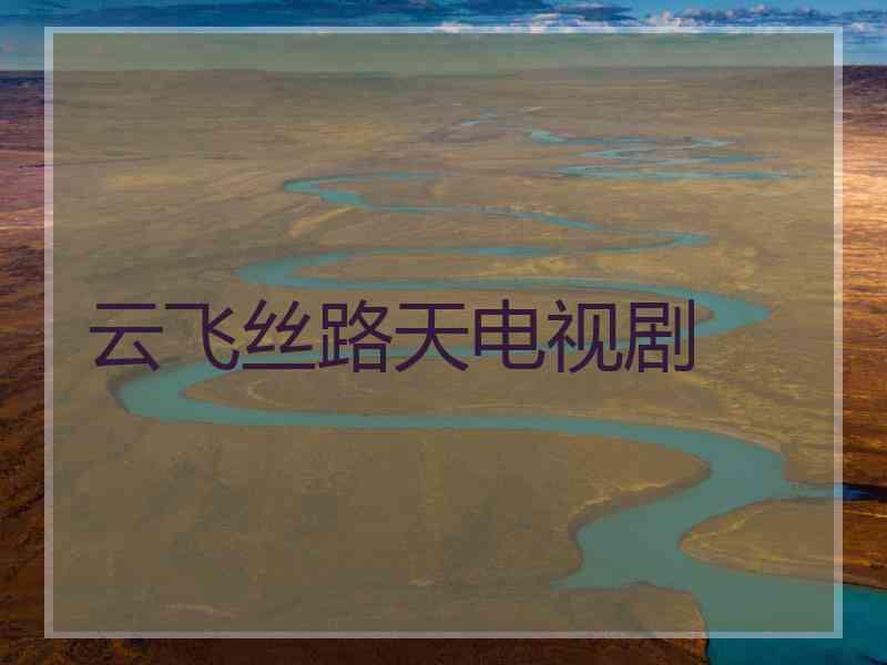 云飞丝路天电视剧