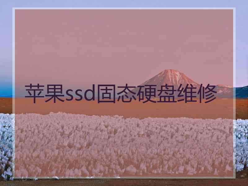 苹果ssd固态硬盘维修