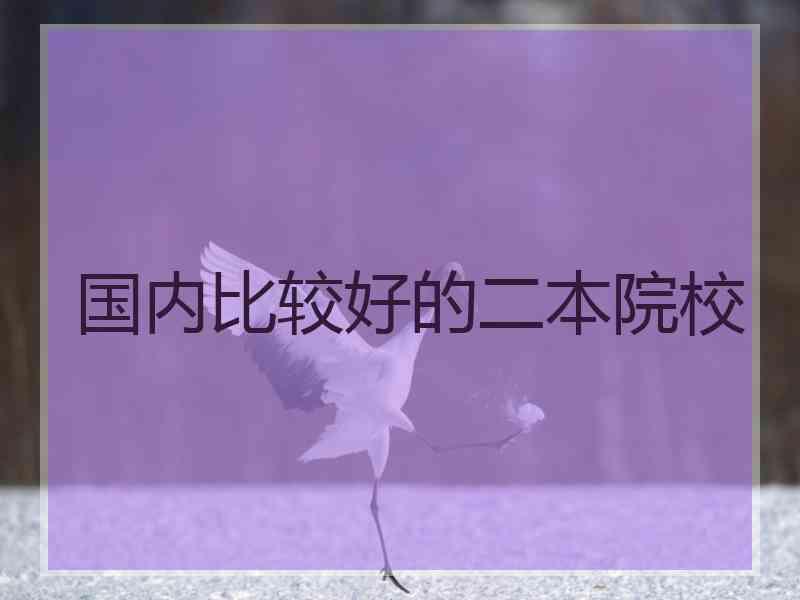 国内比较好的二本院校