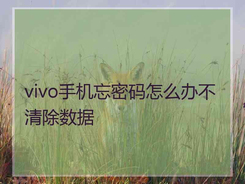vivo手机忘密码怎么办不清除数据