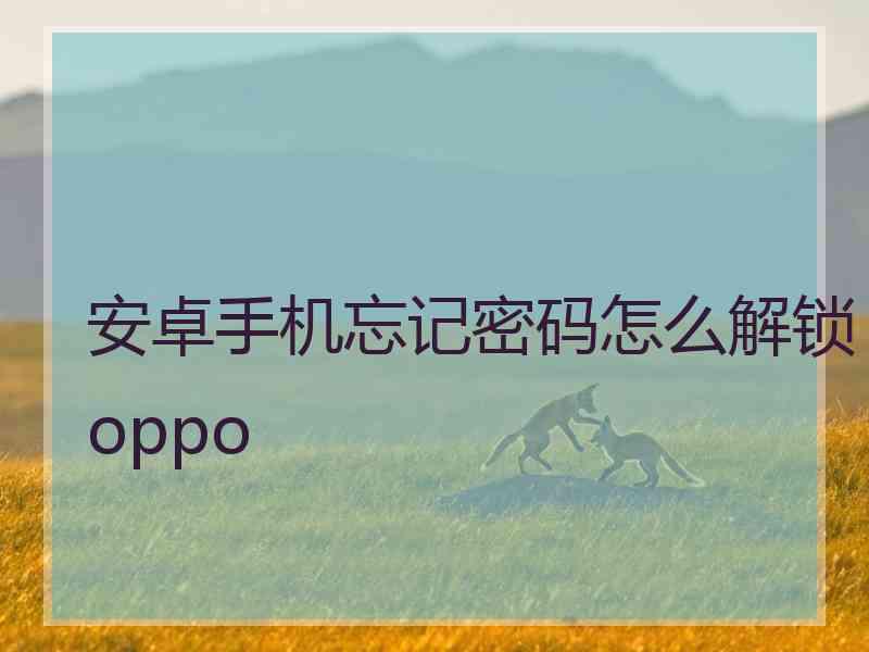 安卓手机忘记密码怎么解锁oppo