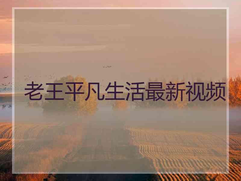 老王平凡生活最新视频