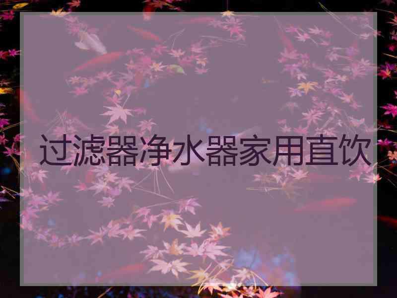 过滤器净水器家用直饮