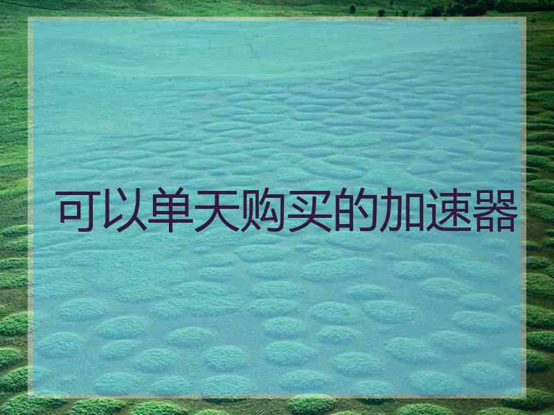 可以单天购买的加速器