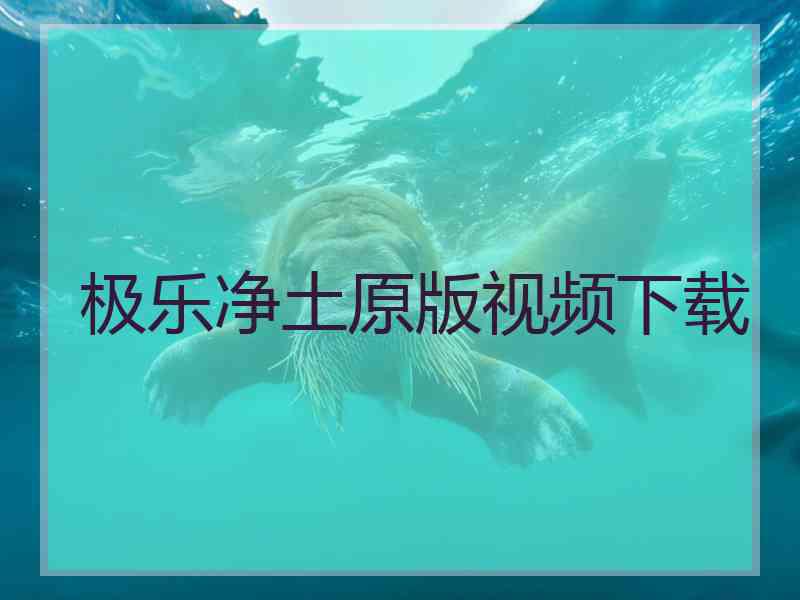 极乐净土原版视频下载