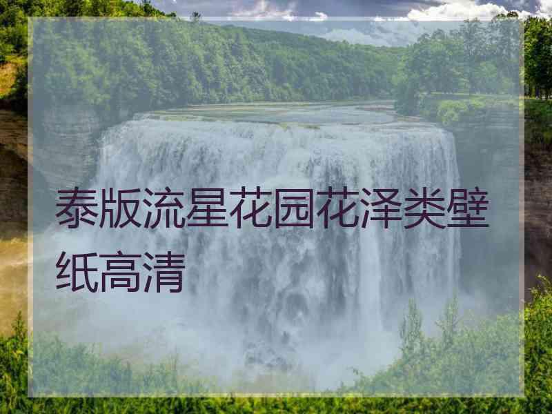 泰版流星花园花泽类壁纸高清