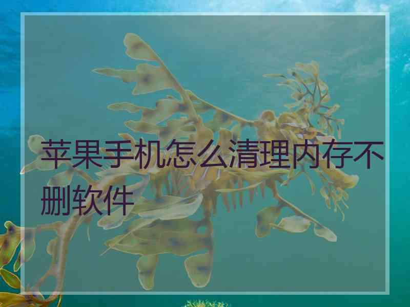 苹果手机怎么清理内存不删软件