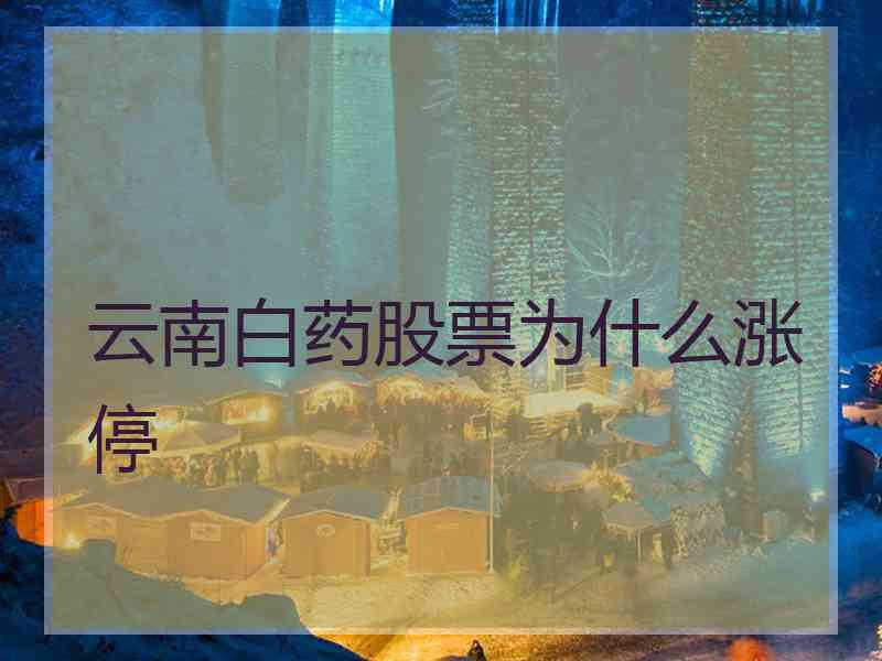云南白药股票为什么涨停