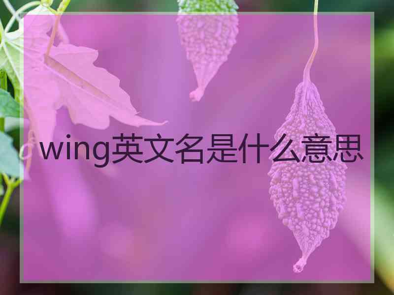 wing英文名是什么意思