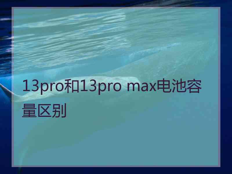 13pro和13pro max电池容量区别