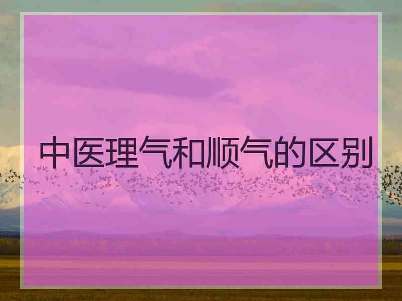 中医理气和顺气的区别