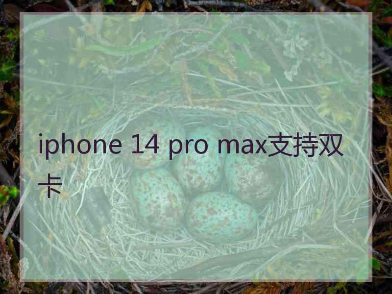 iphone 14 pro max支持双卡