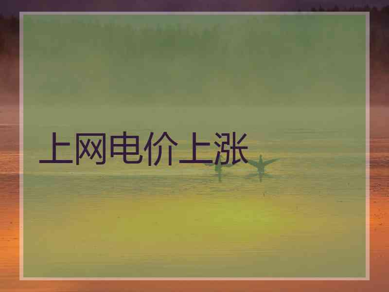 上网电价上涨