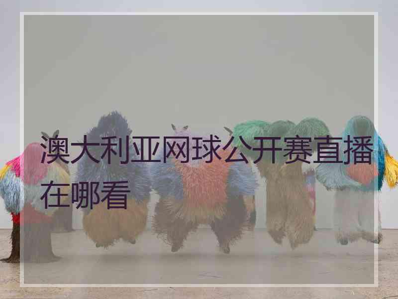 澳大利亚网球公开赛直播在哪看