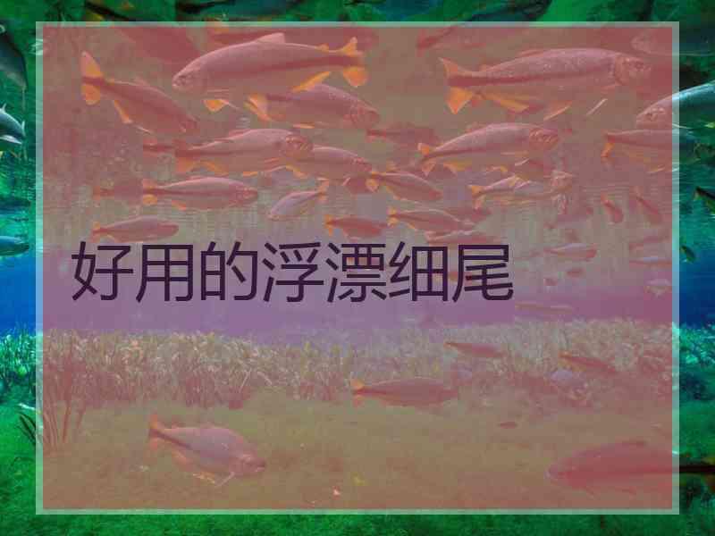 好用的浮漂细尾