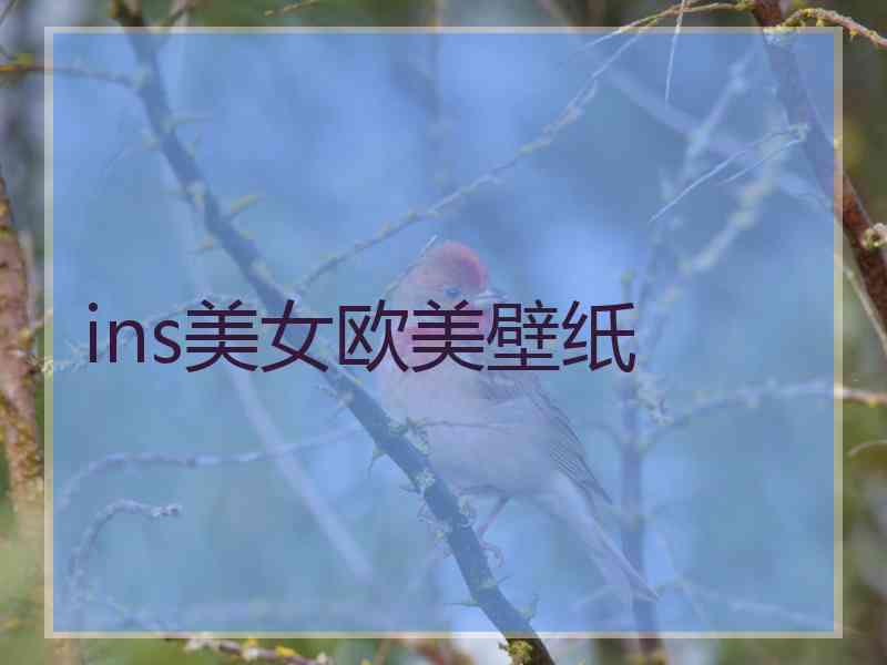 ins美女欧美壁纸