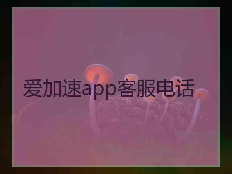 爱加速app客服电话