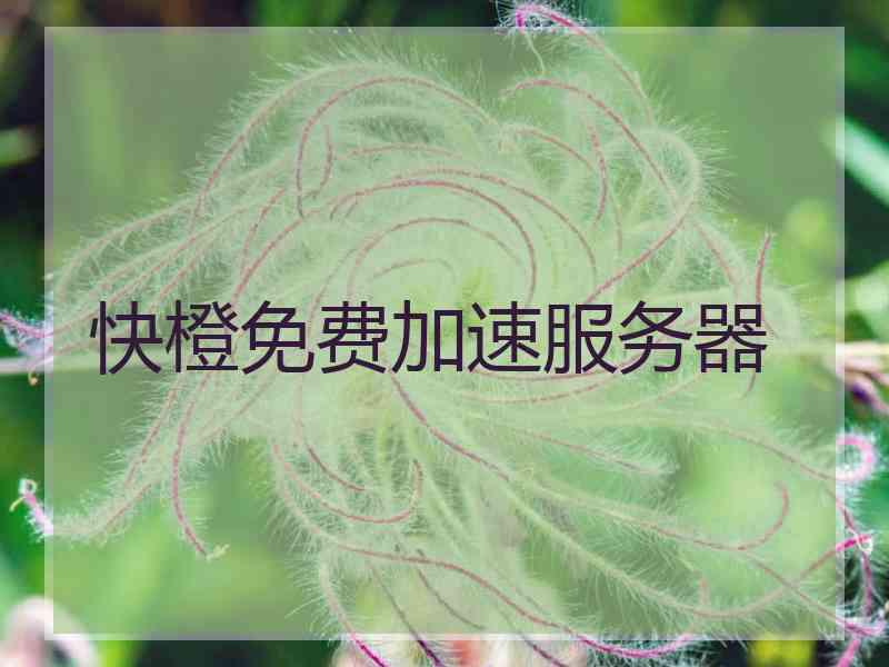 快橙免费加速服务器