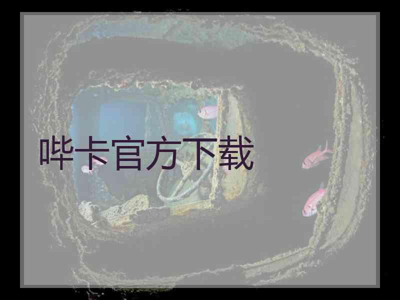 哔卡官方下载