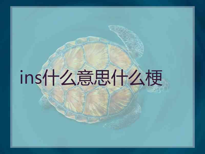 ins什么意思什么梗