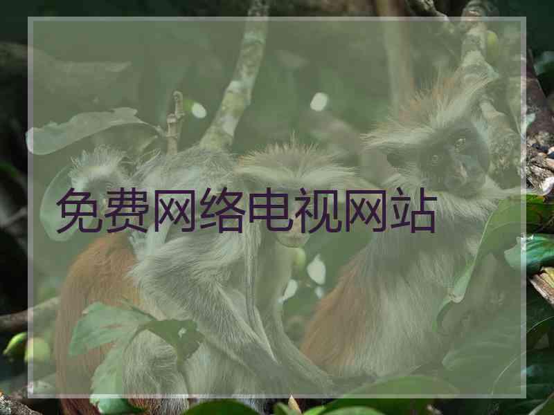 免费网络电视网站