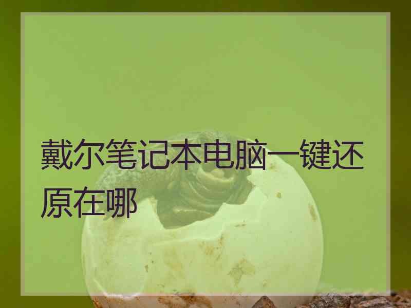 戴尔笔记本电脑一键还原在哪