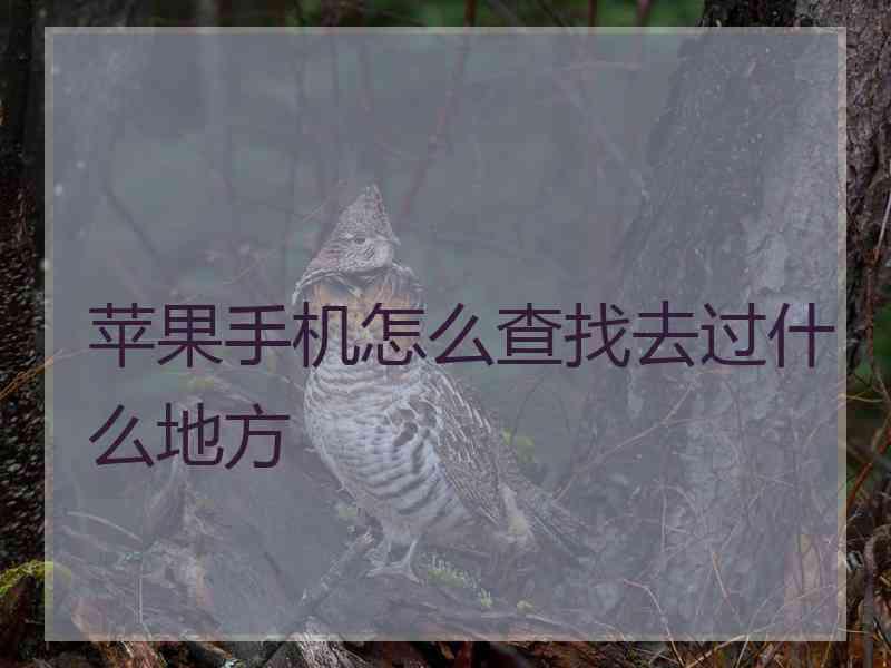 苹果手机怎么查找去过什么地方