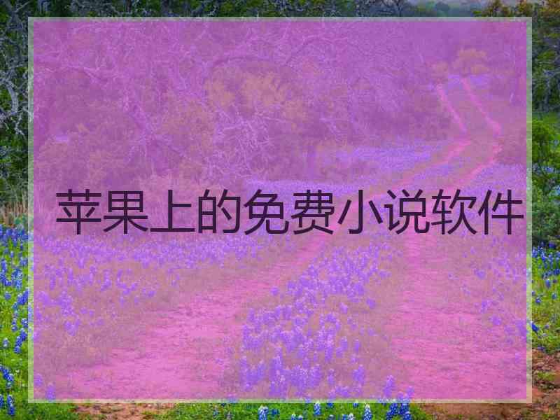 苹果上的免费小说软件
