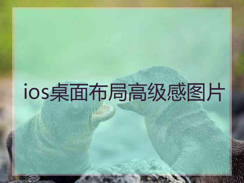 ios桌面布局高级感图片
