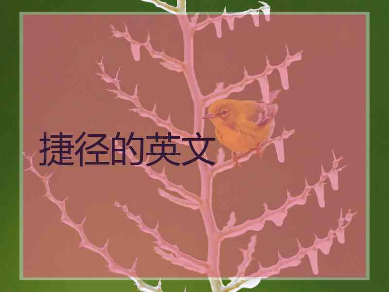捷径的英文