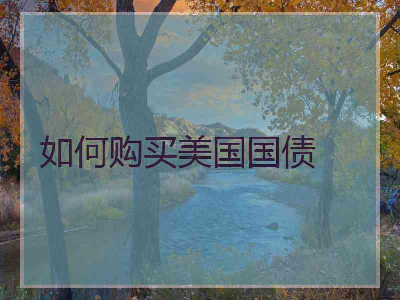 如何购买美国国债