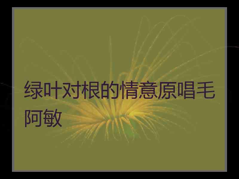 绿叶对根的情意原唱毛阿敏