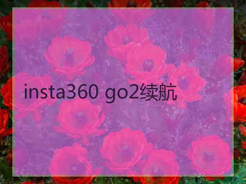 insta360 go2续航