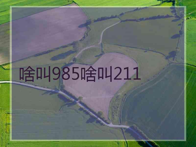 啥叫985啥叫211