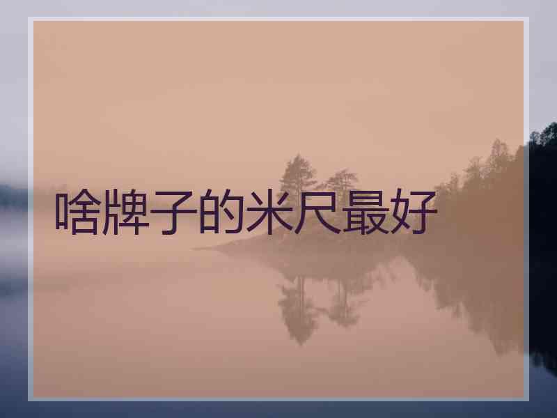 啥牌子的米尺最好