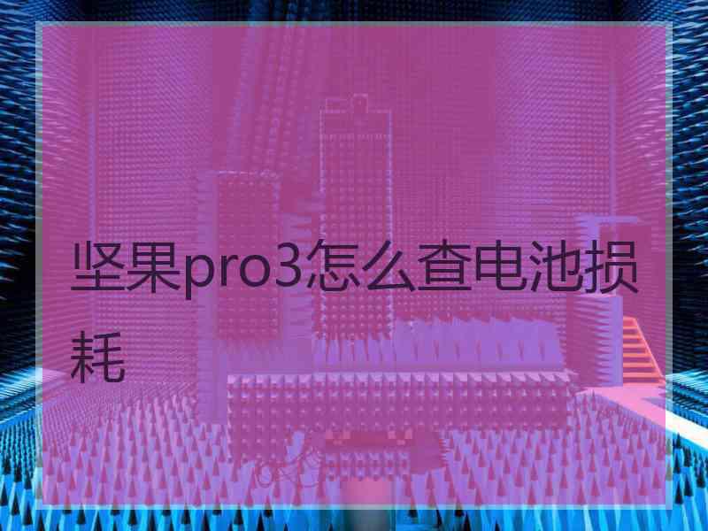 坚果pro3怎么查电池损耗