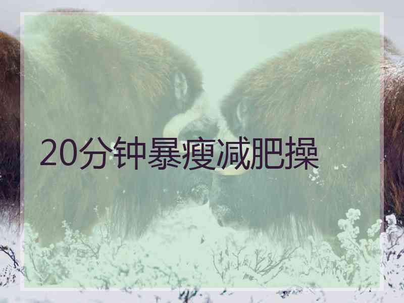 20分钟暴瘦减肥操