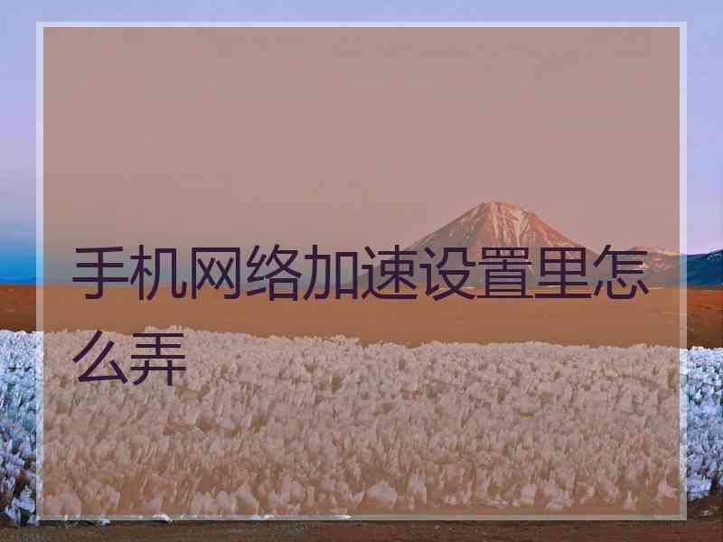 手机网络加速设置里怎么弄
