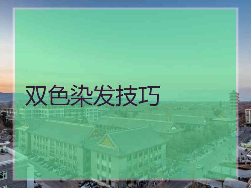 双色染发技巧