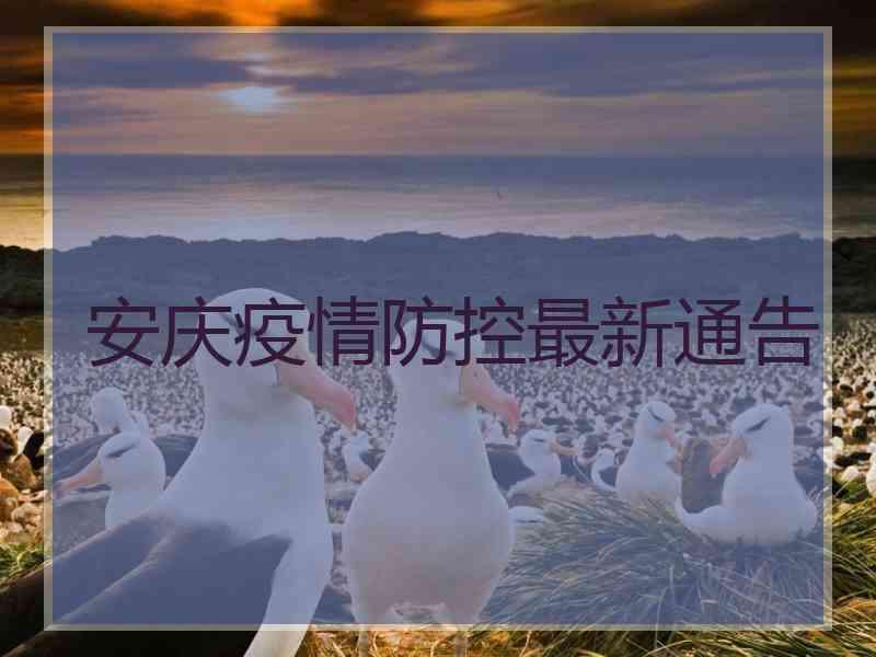 安庆疫情防控最新通告