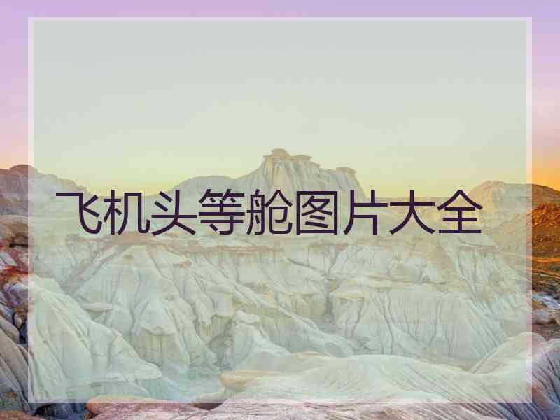 飞机头等舱图片大全