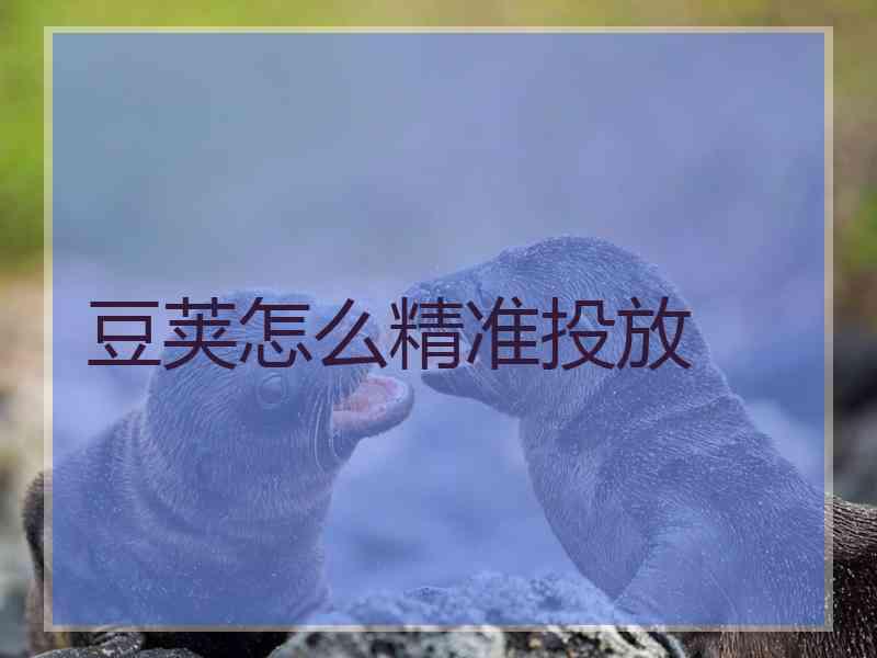 豆荚怎么精准投放
