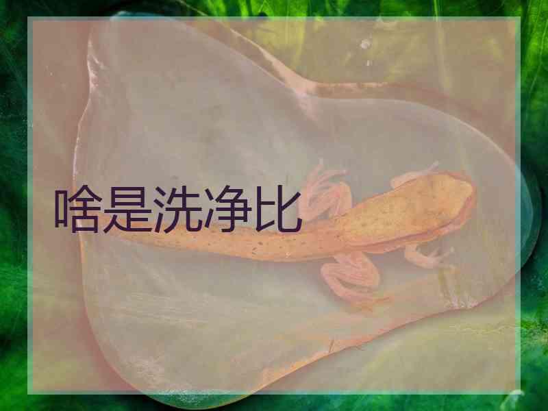 啥是洗净比