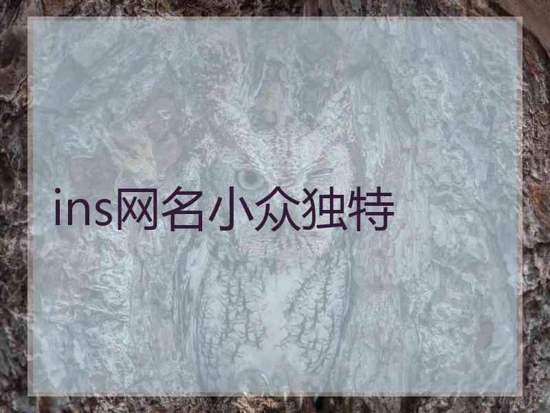 ins网名小众独特