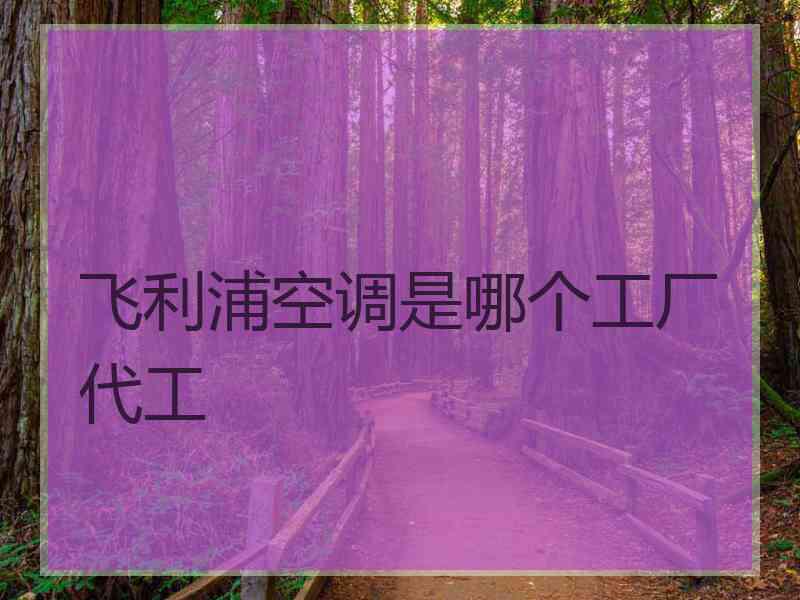 飞利浦空调是哪个工厂代工