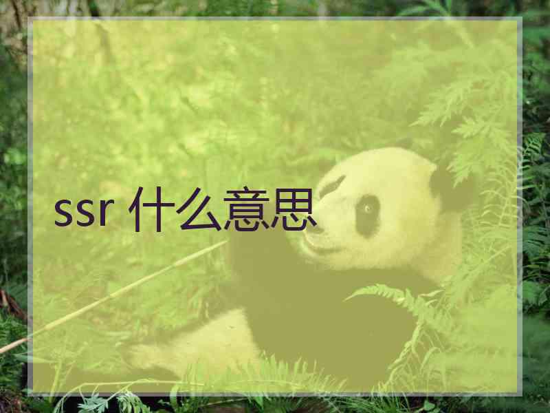 ssr 什么意思
