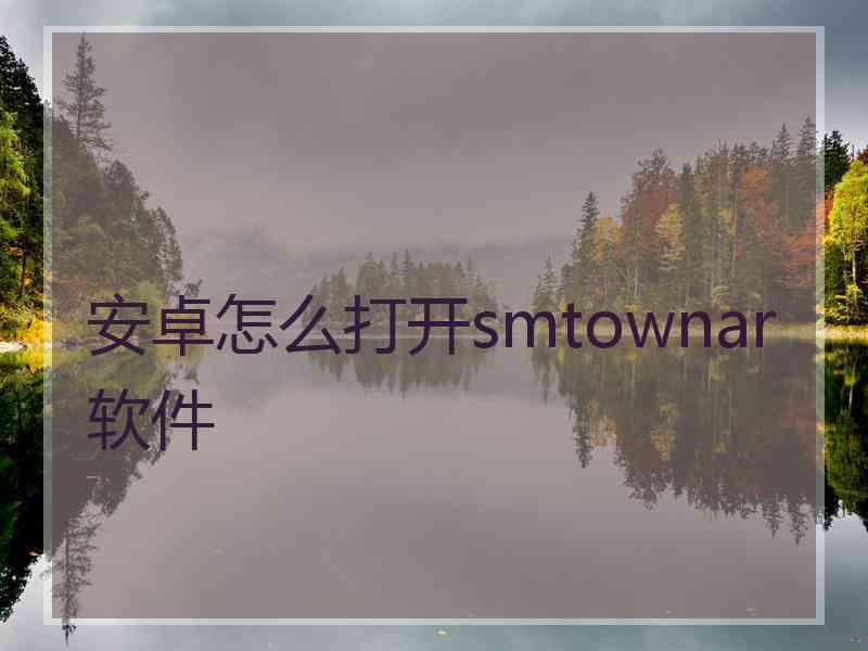 安卓怎么打开smtownar软件