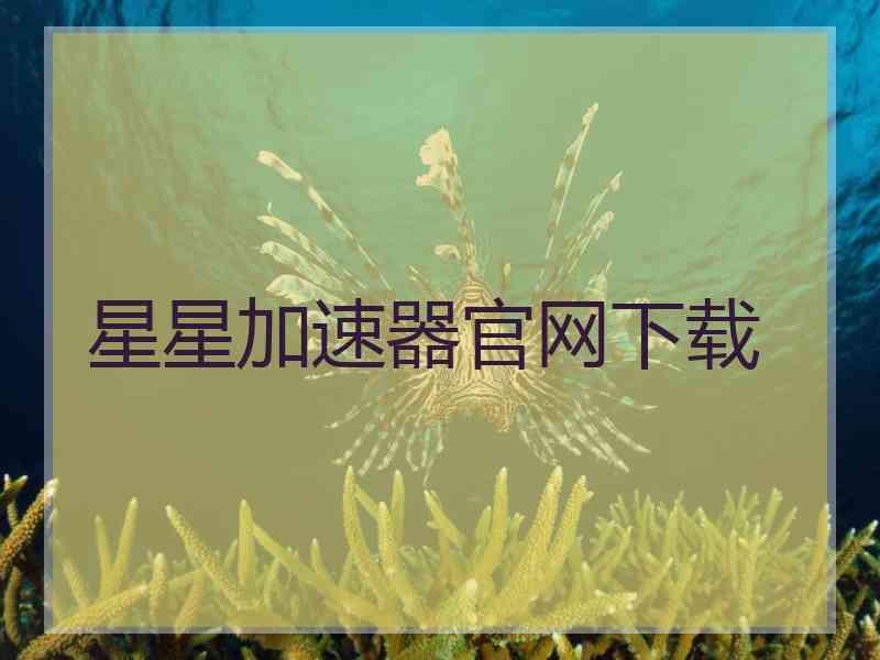星星加速器官网下载