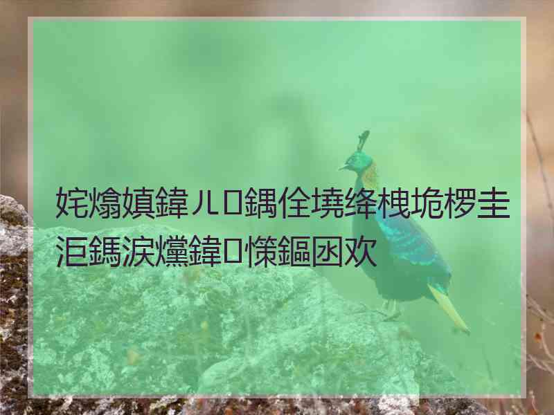 姹熻嫃鍏ㄦ鍝佺墝绛栧垝椤圭洰鎷涙爣鍏憡鏂囦欢